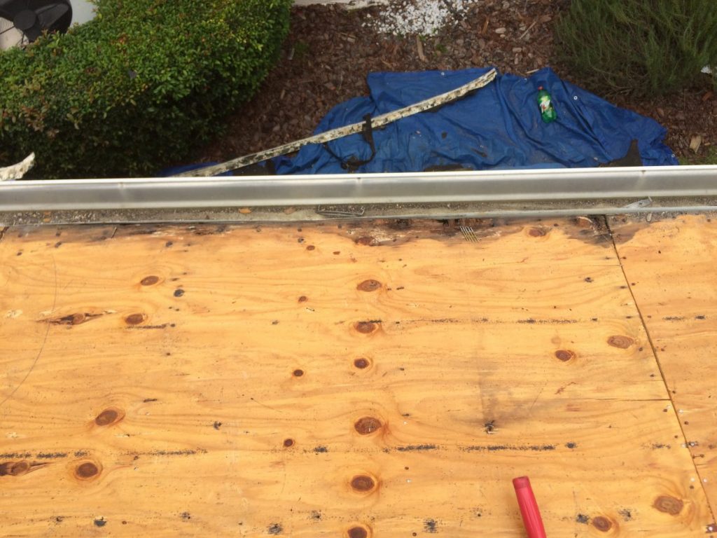 Roof Maintenance and inspection